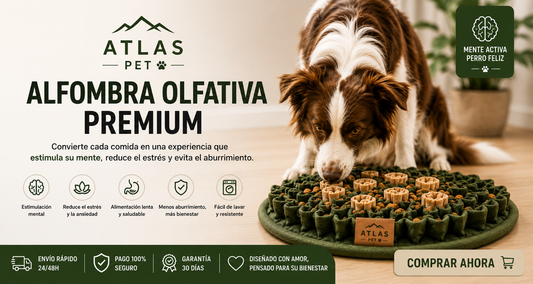 Atlas™ | Alfombra Olfativa Premium para Perros