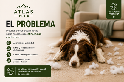 Atlas™ | Alfombra Olfativa Premium para Perros