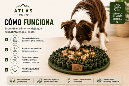 Atlas™ | Alfombra Olfativa Premium para Perros